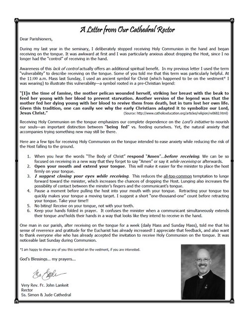 Simon Jude Phoenix Bulletin Letter January-23-2011.jpg